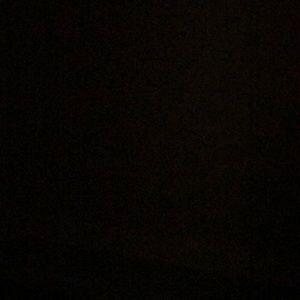 Meet your Posher, Jerry